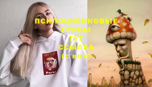 spice Липки