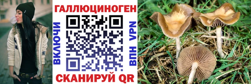 Псилоцибиновые грибы GOLDEN TEACHER  Купить где  Гурьевск 